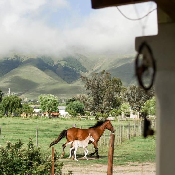 Ferienwohnung Entre Montanas Tafí del Valle Exterior foto