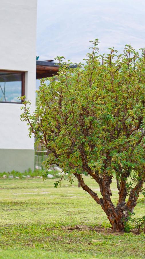 Ferienwohnung Entre Montanas Tafí del Valle Exterior foto